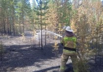 Площадь природного пожара в Угловском районе Алтайского края выросла вдвое за минувшие сутки