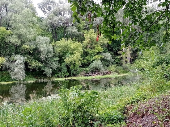 В Смоленск пришла жара