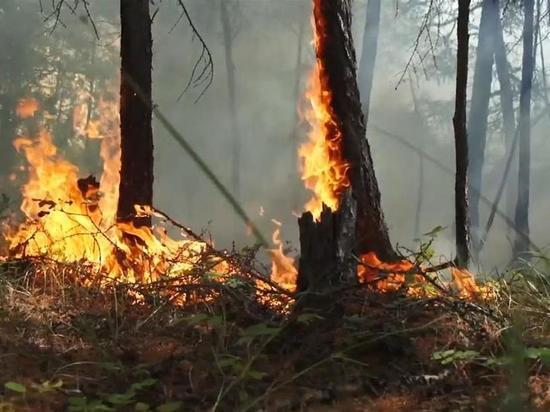 Во Владимирском регионе ввели четвертый уровень пожарной опасности