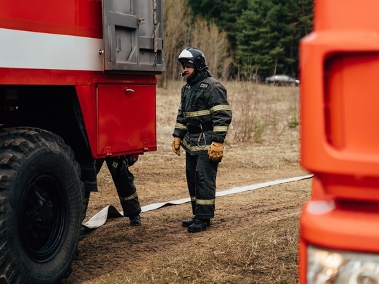 Пожар произошёл в лесу в Тверской области