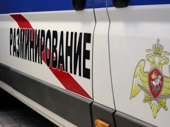 Житель Ульяновки принес гранату в полицейский участок