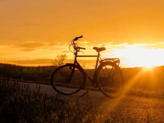 В Курске намерены создать велосипедное «Серебряное кольцо» протяженностью 40 километров