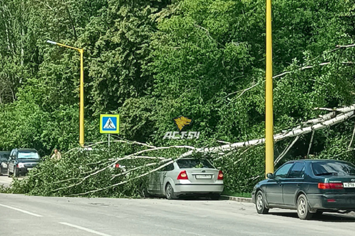 Автомобили в новосибирской области