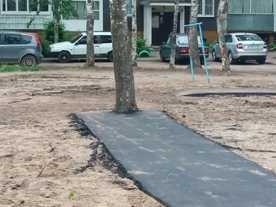 Победило дерево:  дорожку, которая в нее упирается, мэрия Ярославля решила перенести