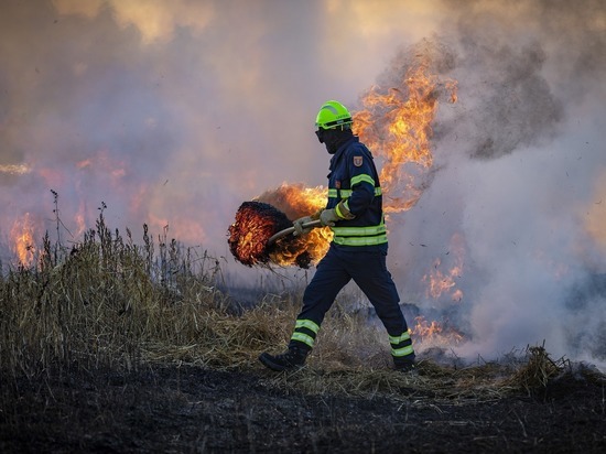 Третий класс пожарной опасности объявили в 13-ти районах Воронежской области на ближайшие сутки
