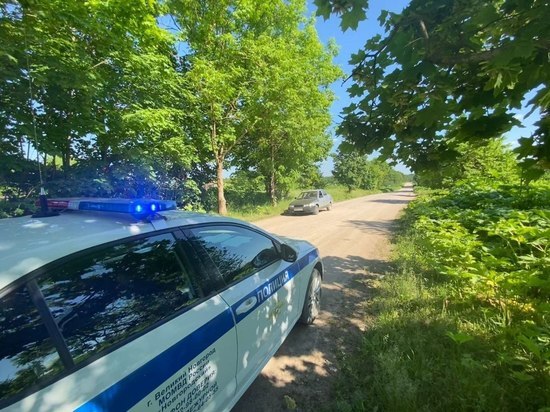 Жительница Петербурга в Батецком позволила порулить автомобилем 13-летнему сыну