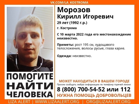 Костромские волонтеры из отряда «Лиза Алерт» три с лишним месяца ищут высокого мужчину