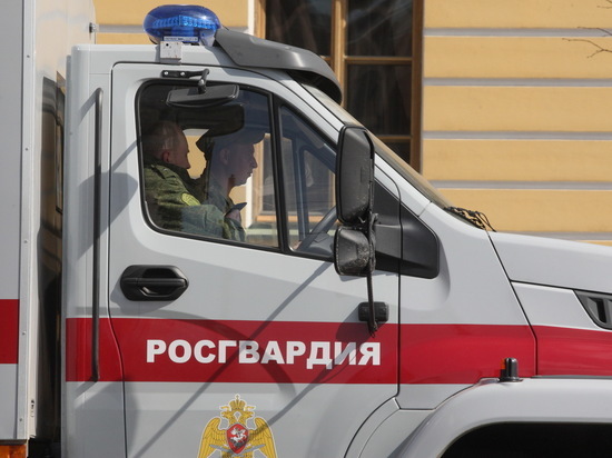 Росгвардия захватила две украинские автомашины РСЗО