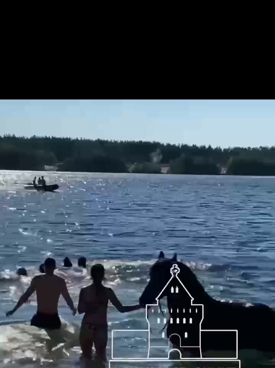 На озере в Нижнем Новгороде утопили лошадь