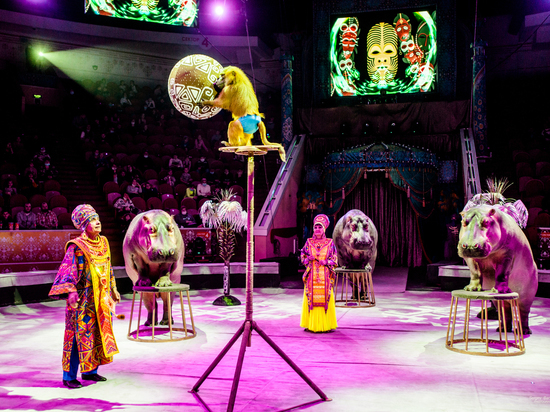 Гастроли в Рязанском цирке продлятся до 17 июля