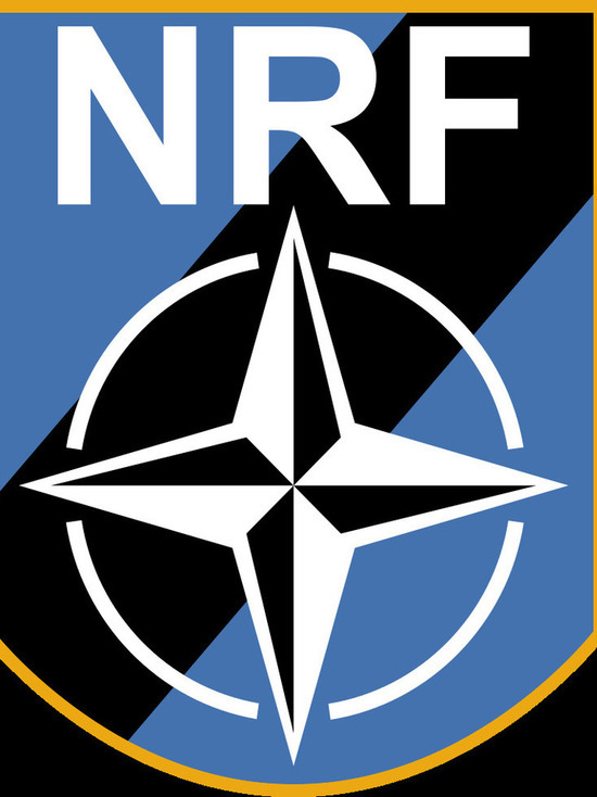 НАТО решил увеличить число сил быстрого реагирования до 300 тысяч человек