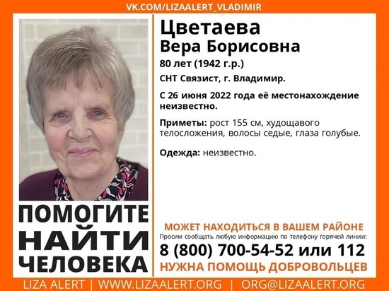 Ушла и не вернулась: во Владимирской области пропала 80-летняя женщина