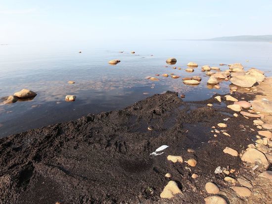 Спасение Байкала – дело рук загрязняющих