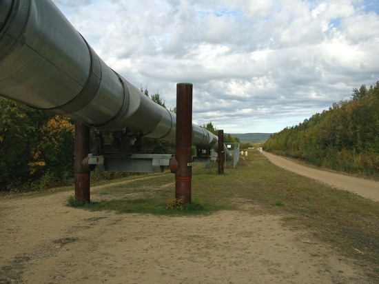 Незаконную врезку в нефтепровод обнаружили в Киришском районе