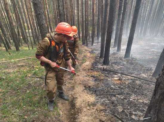 В Бурятии на борьбу с лесными пожарами выделят ещё 10 млн рублей