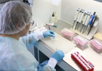 В Забайкалье за прошедшие сутки было выявлено еще 10 случаев заражения коронавирусной инфекцией