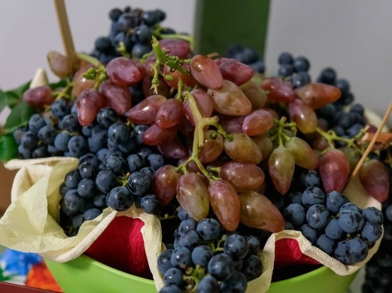 Похудение или недоедание: могут ли фрукты заменить основные приемы пищи
