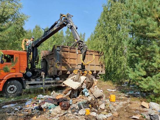 В Нижнем Новгороде вывезли около 2 тысяч куб. метров мусора с несанкционированных свалок