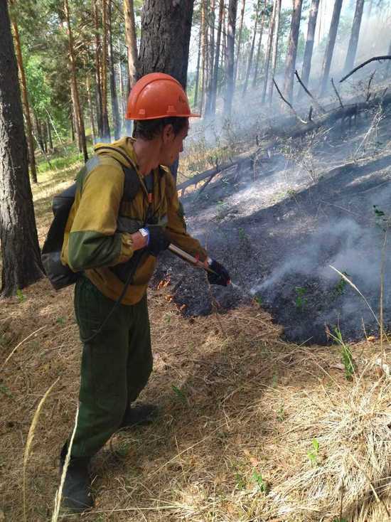 Специалисты лесопожарного центра тушат леса на юге Красноярского края