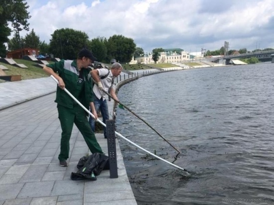 В Пензе расчистили от мусора Суру