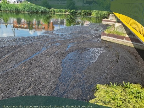 Росприроднадзор прокомментировал загрязнение реки Шани в Калужской области