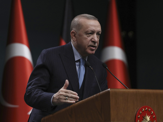 Балансирующий между Западом и Россией президент Турции подсчитывает профит