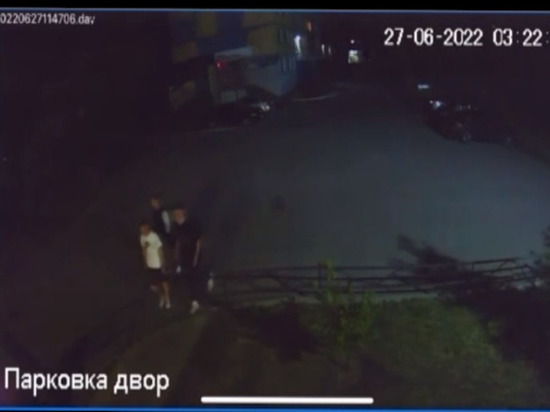 В Саяногорске ищут неизвестного, который избил и ограбил ночью девушку