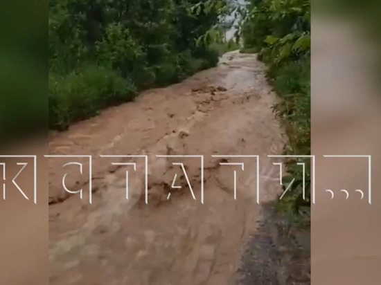 Грязевой поток затопил сады в деревне Ольгино