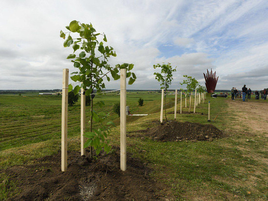 В Ленобласти высадили сотни деревьев во время акции «Сад памяти»