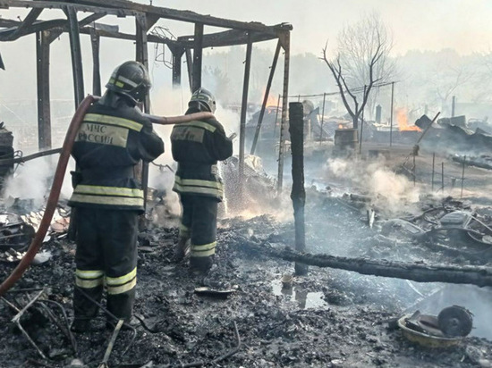Во Владимирской области сгорели хозпостройки вместе с животными