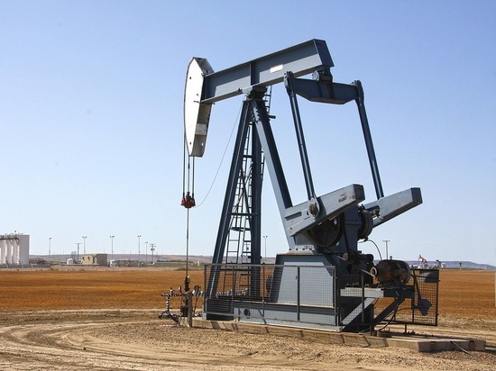 Эксперт Гонсалес: Латинская Америка не поддержит ограничения цен на нефть из России