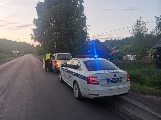 Жителя Карелии оштрафуют за то, что учил девушку водить