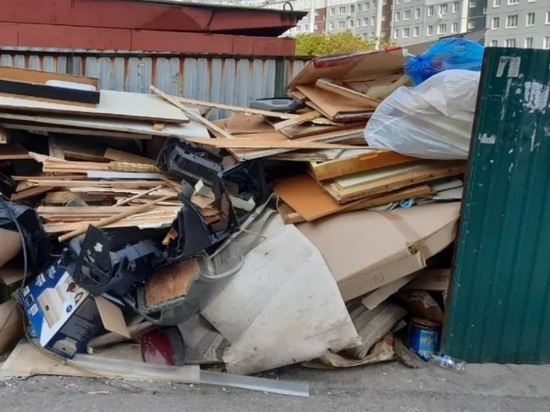 В Ярославле хотят решить мусорный вопрос раз и навсегда