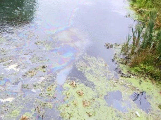 Специалисты Ярославкой области подтвердили факт загрязнения реки Нерль