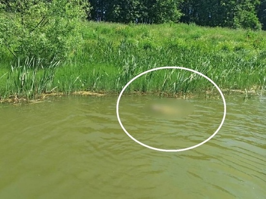 Тело утопленника, найденное в реке в Костромской области, опознано