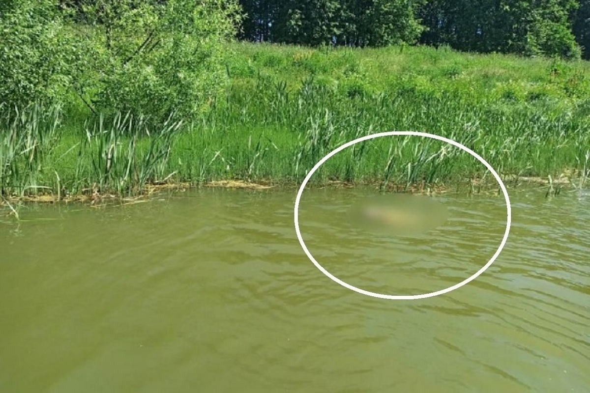 Тело утопленника, найденное в реке Костроме, опознано