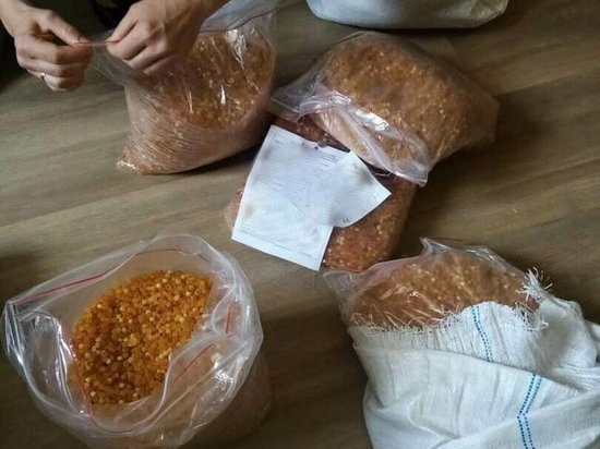 У бизнесмена из Калининграда нашли контрабанду янтаря на два млн рублей