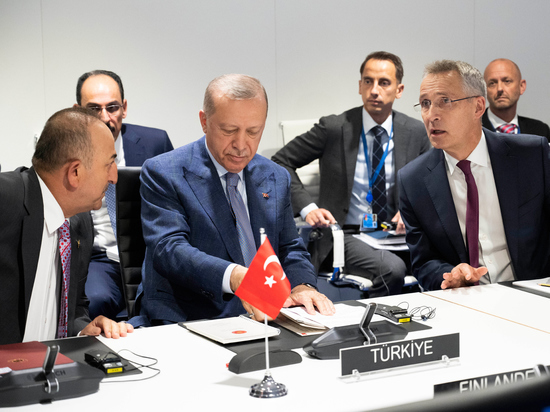 Турция неожиданно быстро сняла возражения против вступления Финляндии и Швеции в НАТО