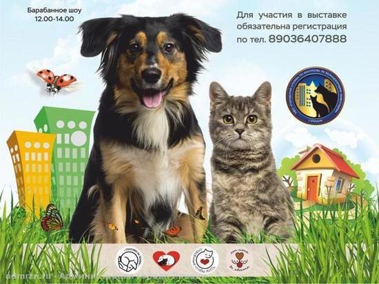 2 июля в рязанском Лесопарке пройдет выставка бездомных животных