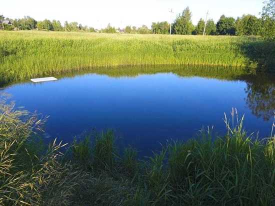 Еще один утопленник: из реки Шарьинки не вынырнул 50-летний костромич