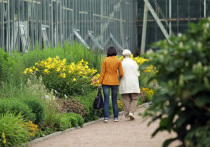В среду из-за повышенной температуры воздуха в Ботаническом саду Петра Великого закрыли Оранжерейные маршруты. Об этом сообщили в официальном Telegram-канале организации.