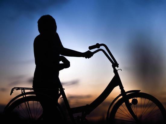 В Смоленском районе задержали велосипедных воров