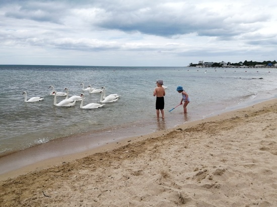 Как проходит курортный сезон в Евпатории: на пляжах пока просторно