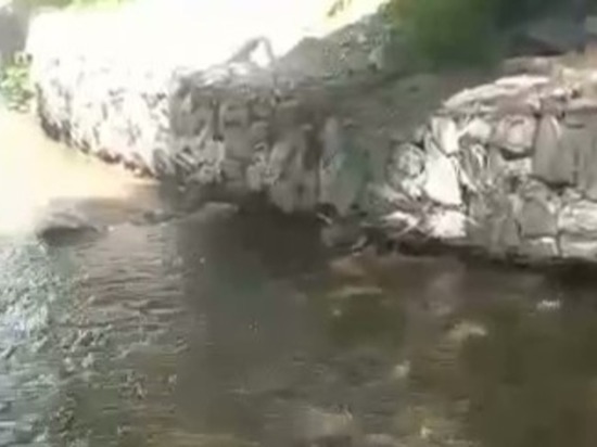 «Прям кишит!»: река в центре Южно-Сахалинска забурлила из-за рыбы