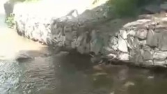 Река на Сахалине забурлила из-за рыбы