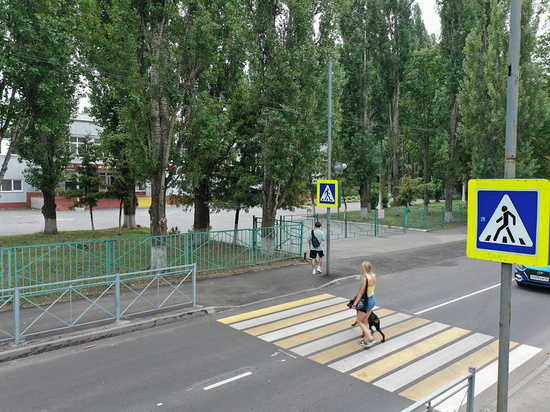 В Курской области с начала года установили 38 светофоров и оборудовали 41 пешеходный переход