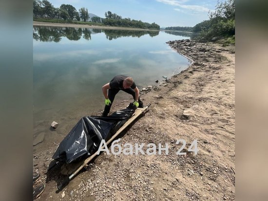 В Абакане из водоема вблизи района Полярный достали погибшего мужчину