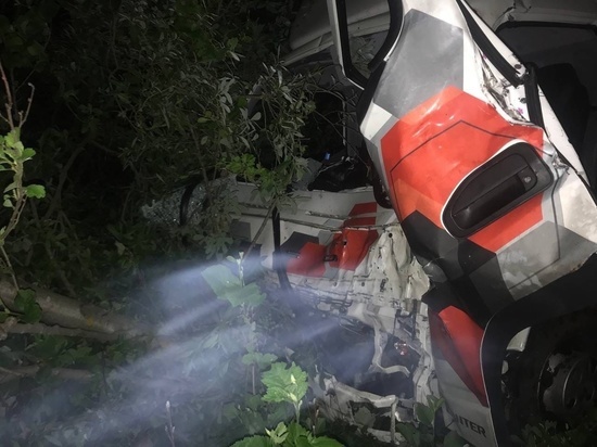 В Тверской области водитель грузовика сбил лося