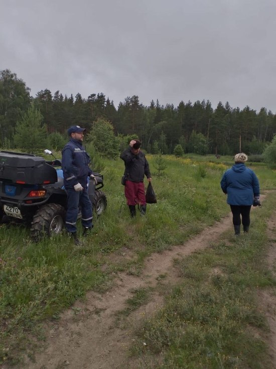 Пожилые супруги заблудились во время сбора грибов на Южном Урале
