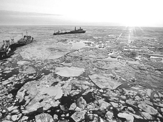 Ученый Макаров предрек полную разморозку Арктики